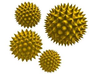 Reconstruction 3D de grains de pollen